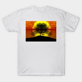 tree under the light of the sun2 T-Shirt